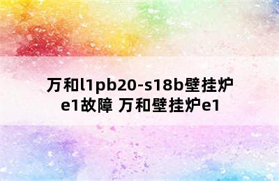 万和l1pb20-s18b壁挂炉e1故障 万和壁挂炉e1